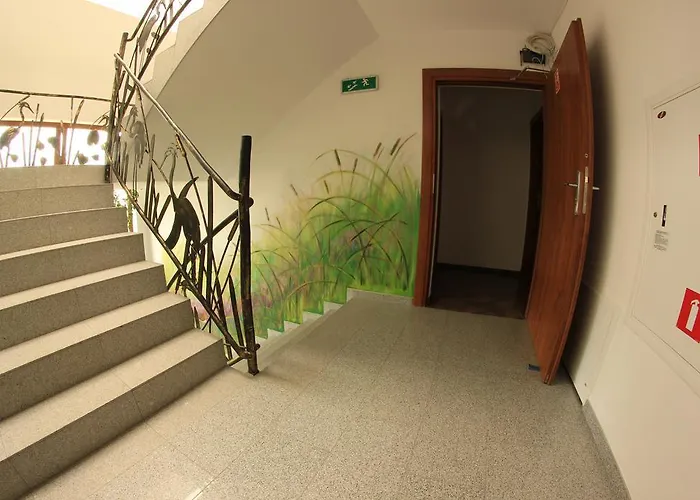 Gosciniec Kaszebe 3*